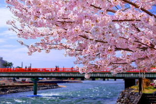 �J�E���Z�����O�@����